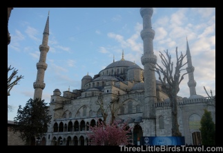 Visit my first mosque - Sultan Ahmed (Blue Mosque)